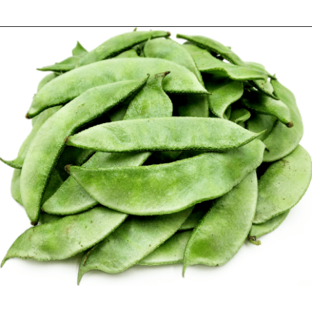 Broad Beans (Sem)