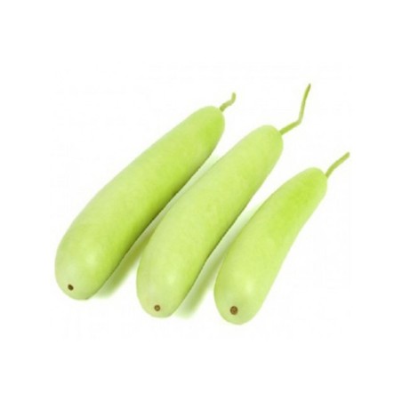 copy of Carrot (Gajar)