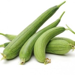 Ridge Gourd (Torai)