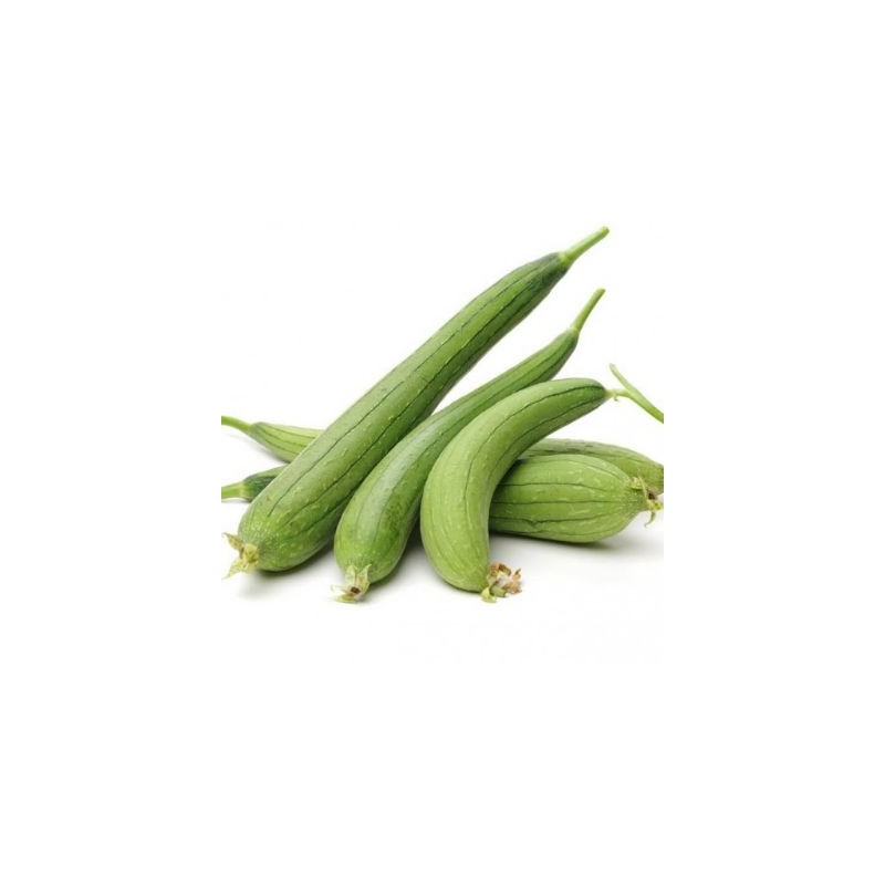 copy of Carrot (Gajar)
