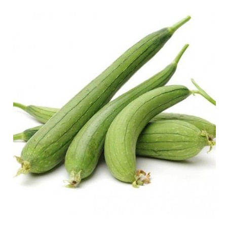 copy of Carrot (Gajar)