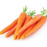 Carrot (Gajar)