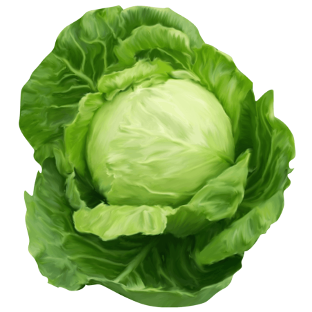 copy of Carrot (Gajar)