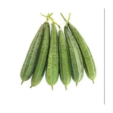 copy of Carrot (Gajar)