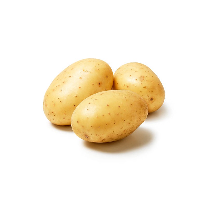 copy of Carrot (Gajar)
