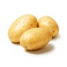 copy of Carrot (Gajar)