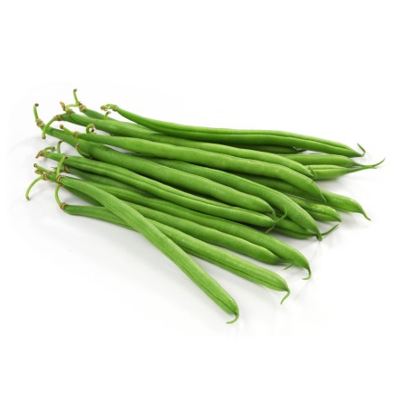 copy of Carrot (Gajar)