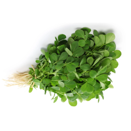 copy of Carrot (Gajar)