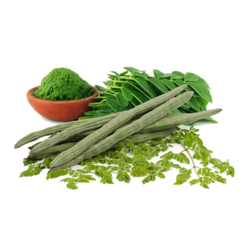 Drumstick Leaves (Moringa or Sahjan Ke Patte)