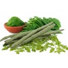 Drumstick Leaves (Moringa or Sahjan Ke Patte)