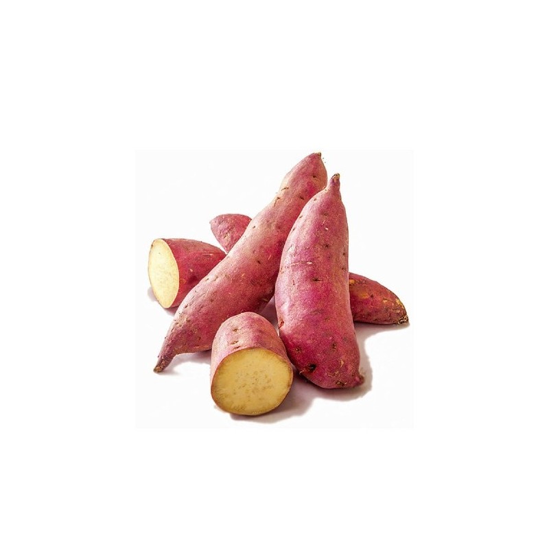 copy of Carrot (Gajar)