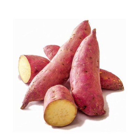 copy of Carrot (Gajar)