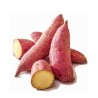 copy of Carrot (Gajar)
