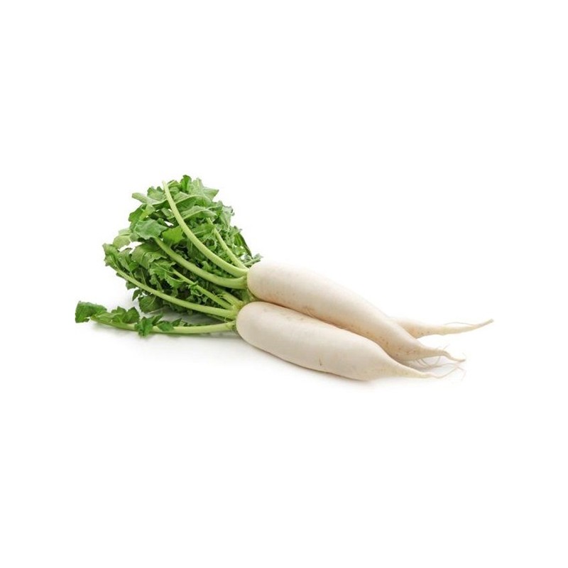 Radish (Mooli)