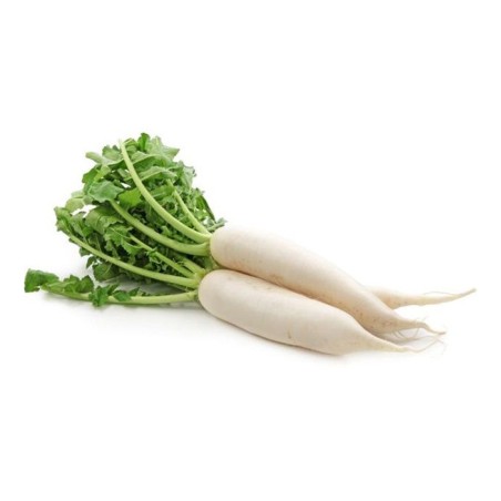 Radish (Mooli)
