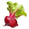 Beetroot (Chukandar)